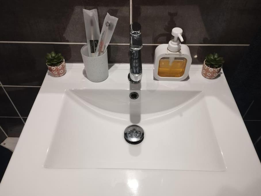 Appartement Coeur De Ville! Foix Luaran gambar