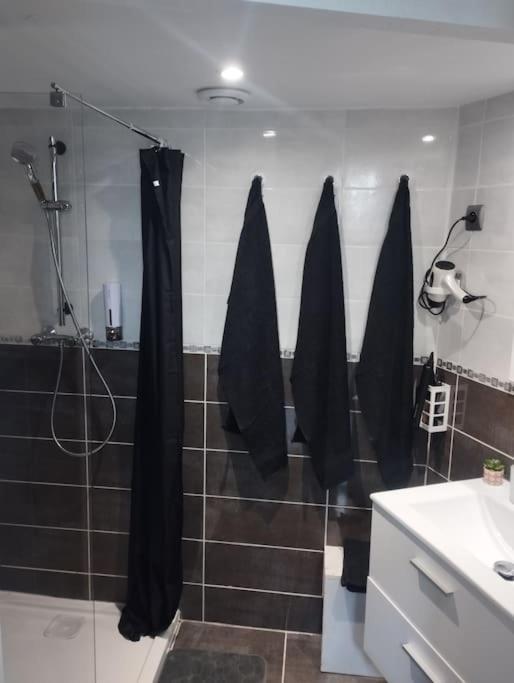 Appartement Coeur De Ville! Foix Luaran gambar