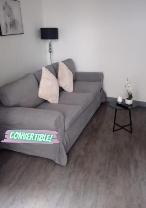 Appartement Coeur De Ville! Foix Luaran gambar